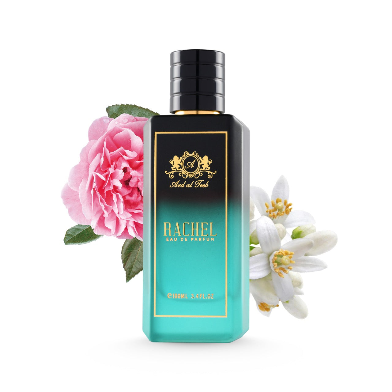 عطر راشيل